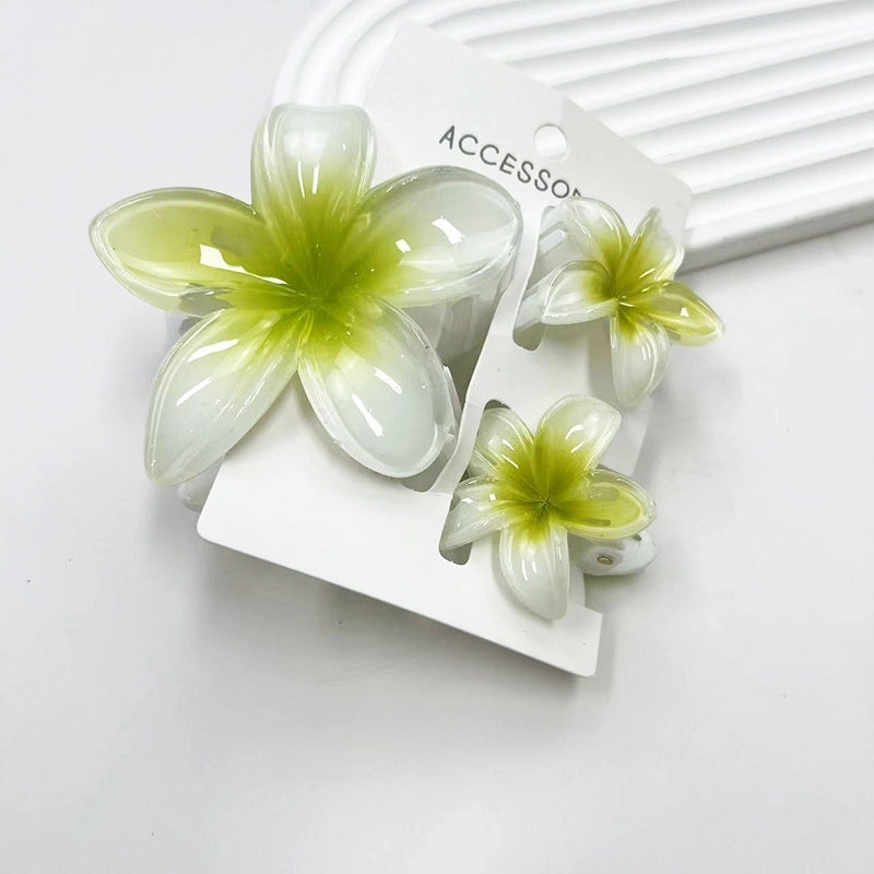 Vacation Modern Style Women’s Flower Resin Hair Claws