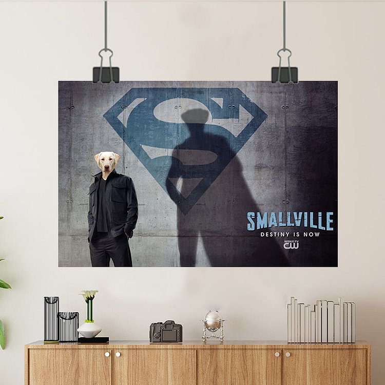 Superman - DC Comics Movie Pet Superman mural Custom Poster/Canvas/Scroll Painting/Magnetic Paintin