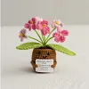 (Finished Product)Crochet Flower Potted Doll with Positive Card Desktop Ornaments, Potted Plants, Bouquets Gift Home Decor