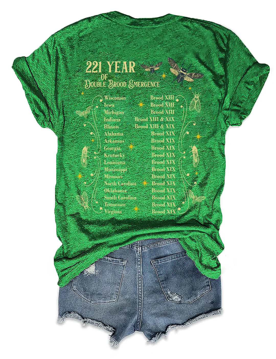 The Cicadas Reunion Tour Summer 2024 T-shirt