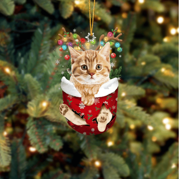 Cat 14 In Snow Pocket Ornament