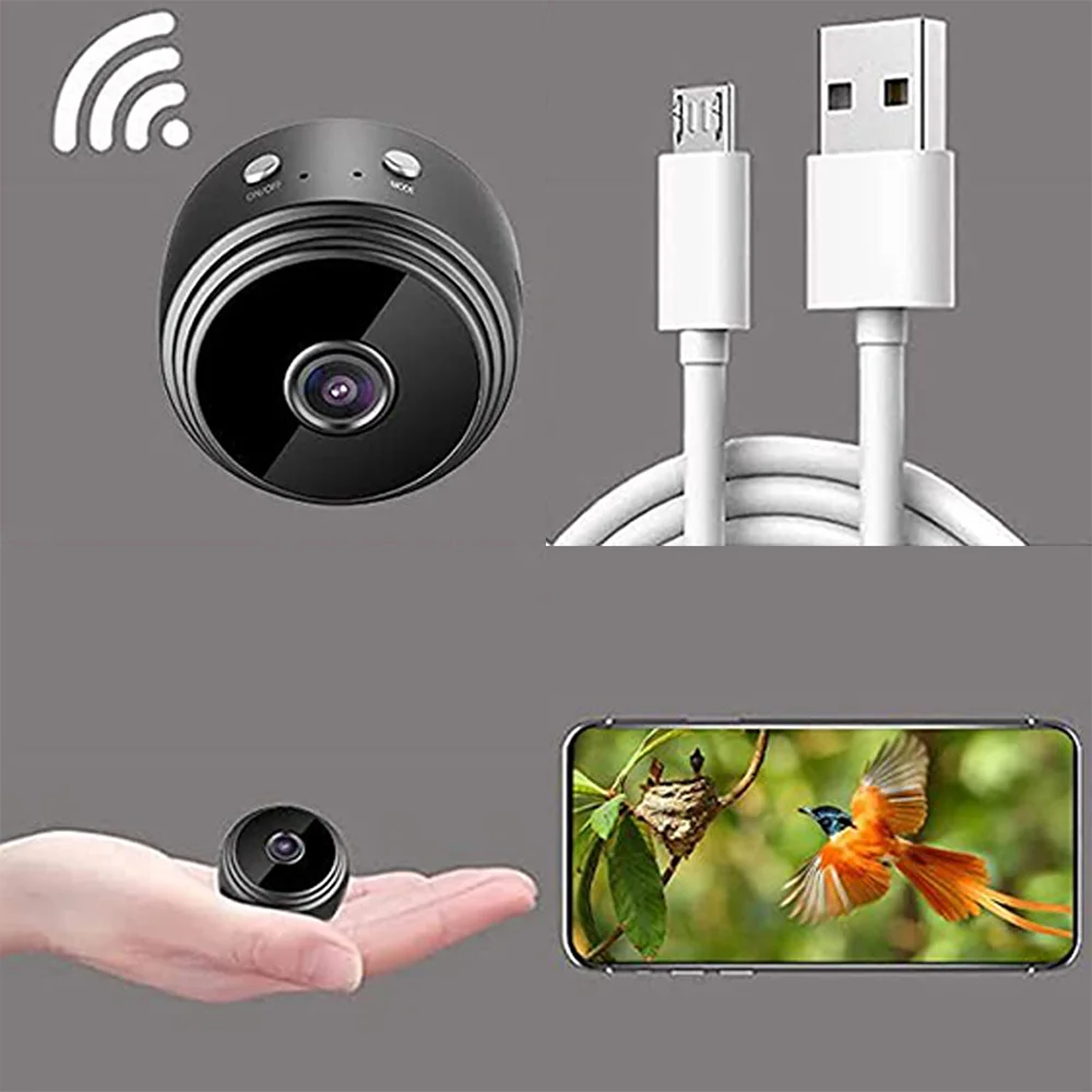 Outdoor smart hanging bird feeder with camera