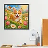 Diamond Painting -5D Full Round Drill Pembroke Welsh Corgi Puppy(40x40cm)