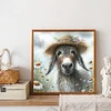 Daisy Garden Donkey-Full Round Diamond Painting 30*30CM
