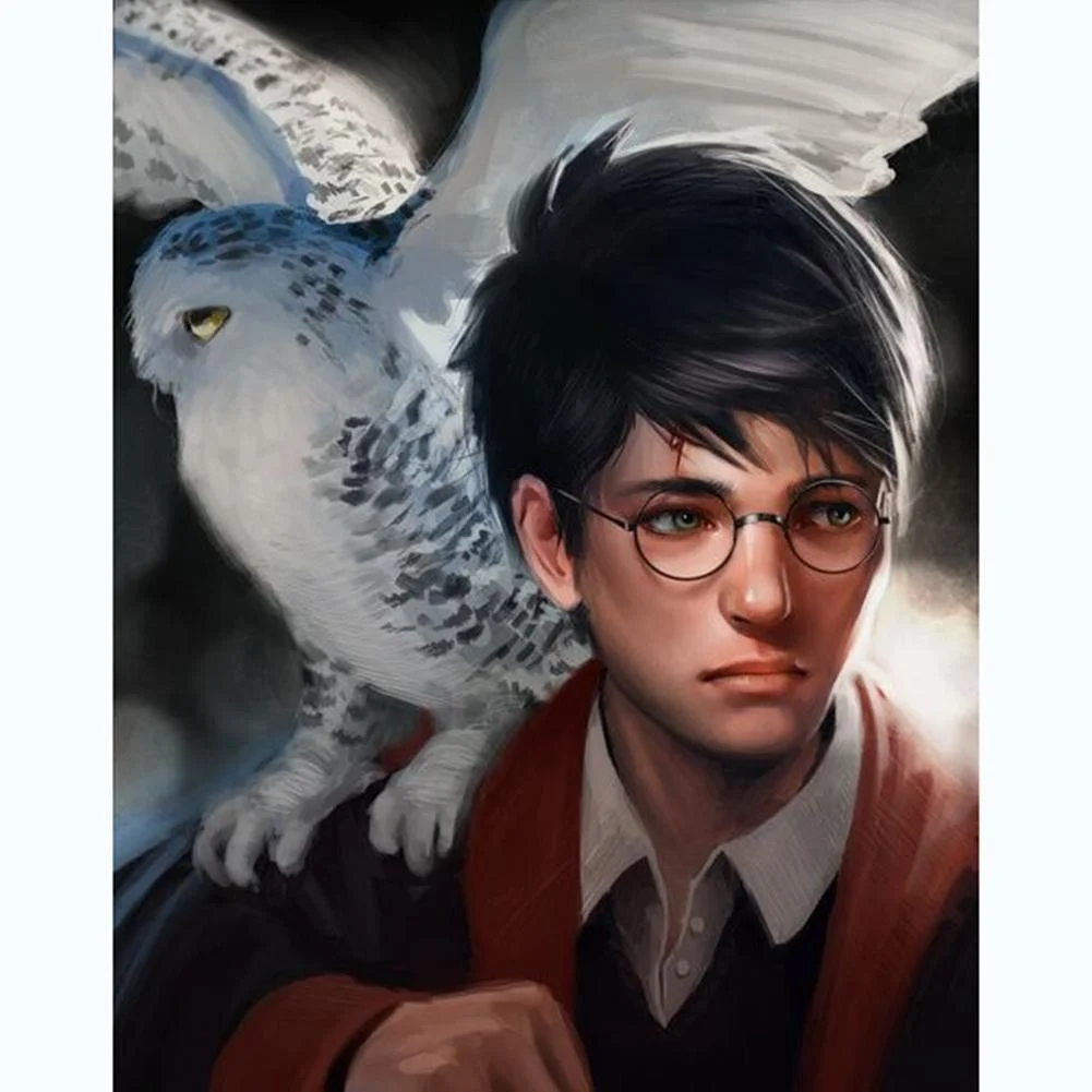Full Round Diamond Painting Harry Potter (40*30cm)