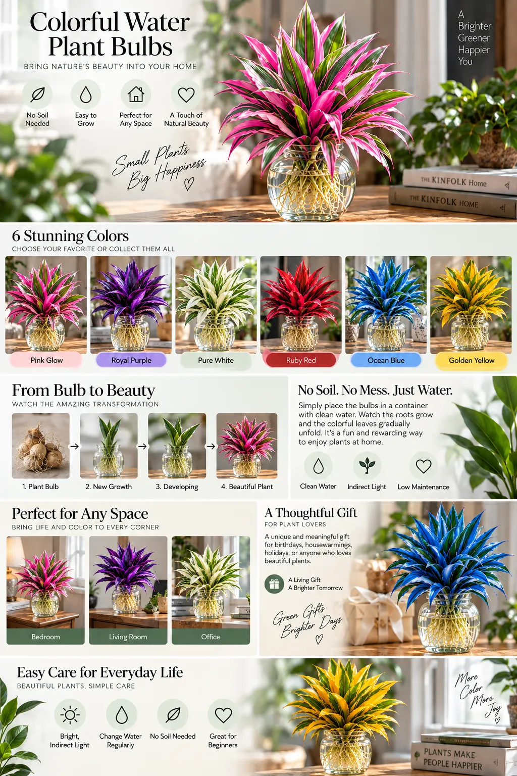Seedgroves colorful water plant bulbs