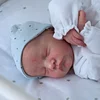 20'' Reborn Baby Boy Gray , Realistic Lifelike Handmade Doll Gift - RBBI-Myrebornbabydoll&reg; Myrebornbabydoll&reg;