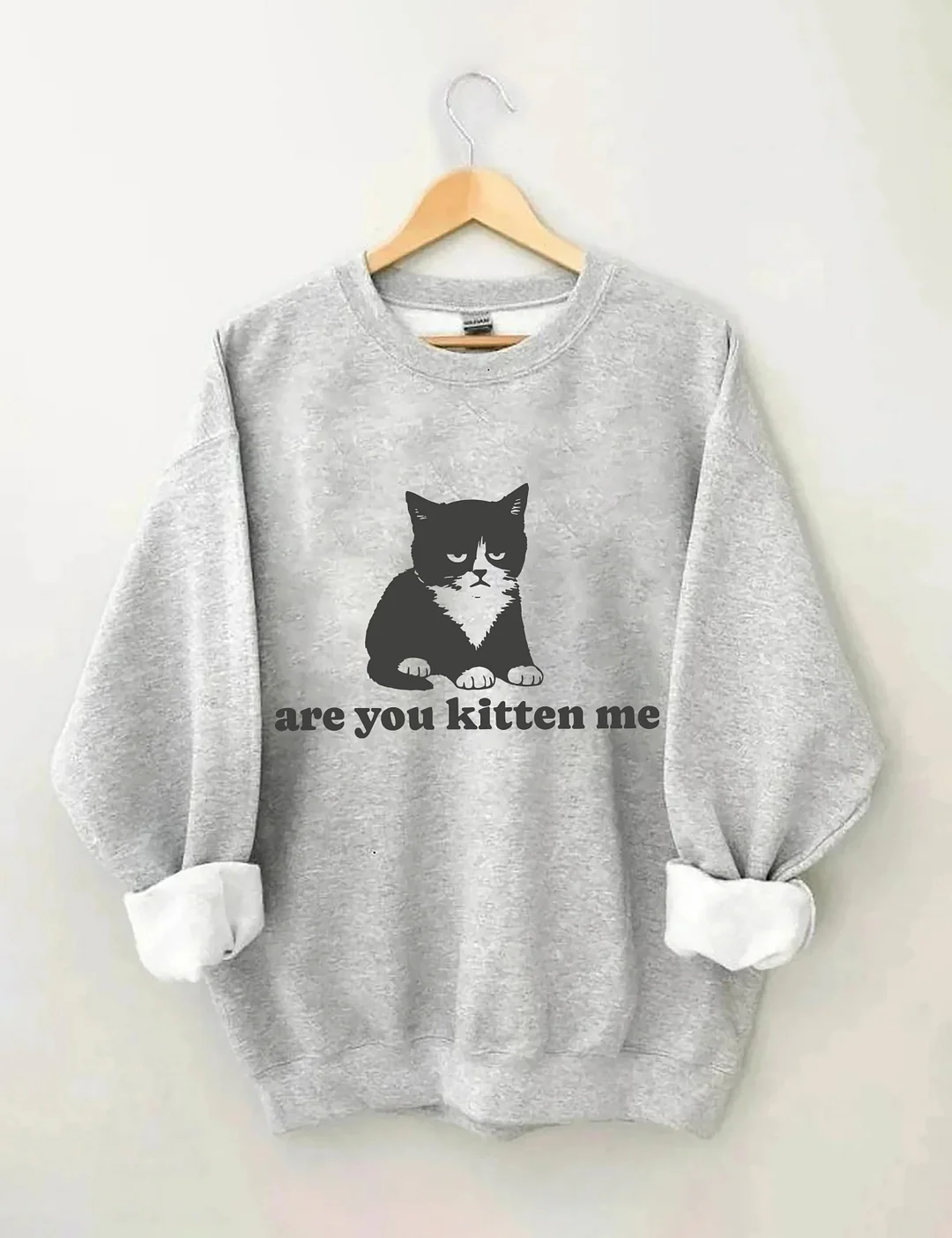 Are You Kitten Me Sweatshirt