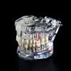 Dental Restoration Model Oral Pathology Doctor-Patient Communication Teaching Restoration Comprehensive With Nerve Part Removable Tooth Model