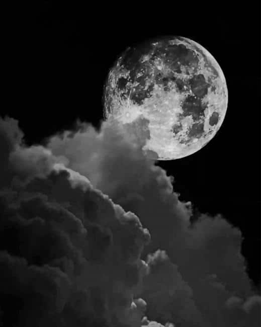 

Black And White Full Moon – Paint By Numbers - 40*50CM, 501 Original