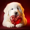 Love Dog Cat-Full Round Diamond Painting 30*30CM