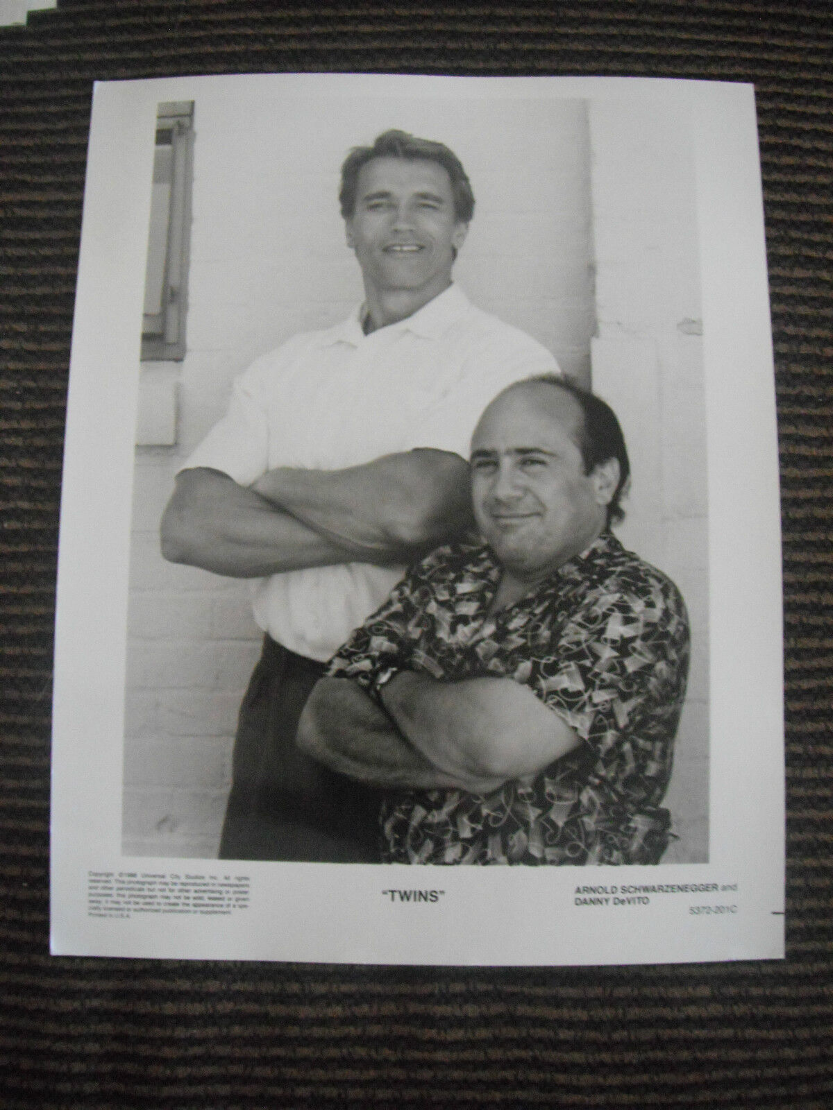 Twins Devito Schwarnegger 1988 B&W Photo Poster painting Photo Poster paintinggraph Promo Movie