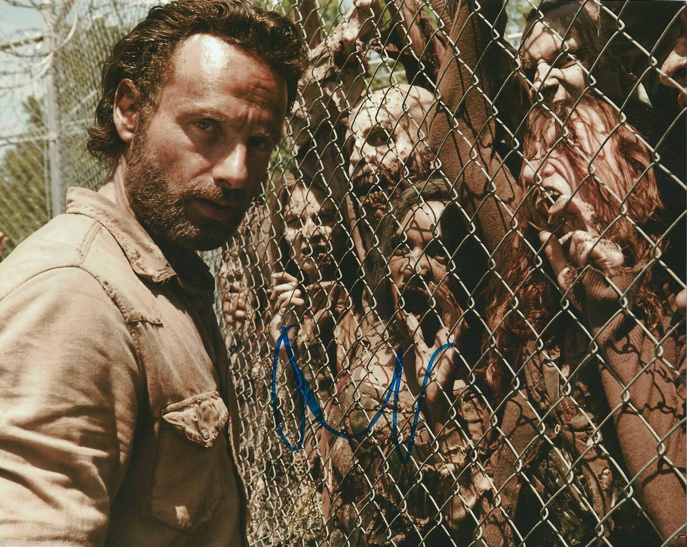 Andrew Lincoln - The Walking Dead Autograph Signed Photo Poster painting Print 6