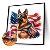 Diamond Painting -DIY Full Square Drill USA Memorial Day(35x35cm)