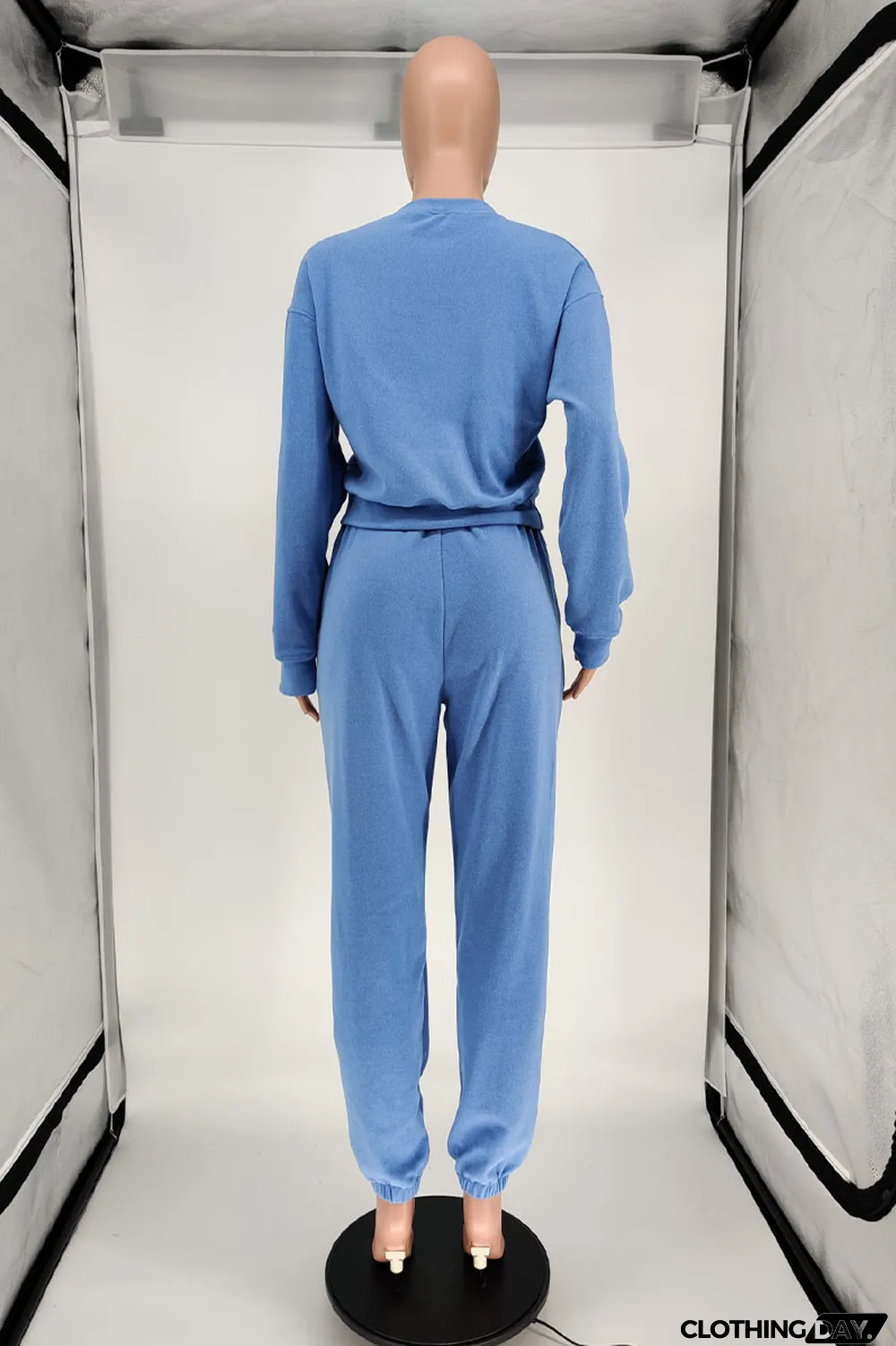 Blue Casual Solid Long Sleeve Two Pieces