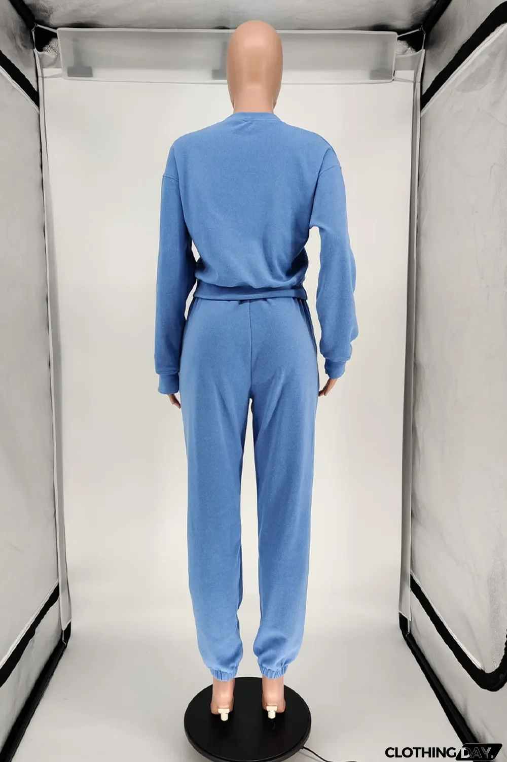 Blue Casual Solid Long Sleeve Two Pieces