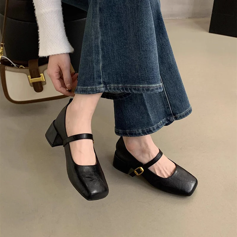 Breakj Breakj Square Head Thick Heel Single Shoes Women Spring And Autumn New French Evening Fairy Soft Skin Mary Jane Small Leather Shoes