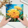(US Local)12pcs DIY Greeting Card Special shaped Diamond Painting Flower Bird Postcards Kit