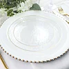 10 Pack | Clear Hammered 9" Round Plastic Dinner Plates With Gold Rim, Disposable Party Plates