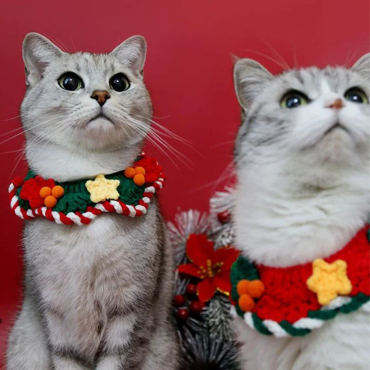 Christmas Wreath Pet Bib and Hat Set 1