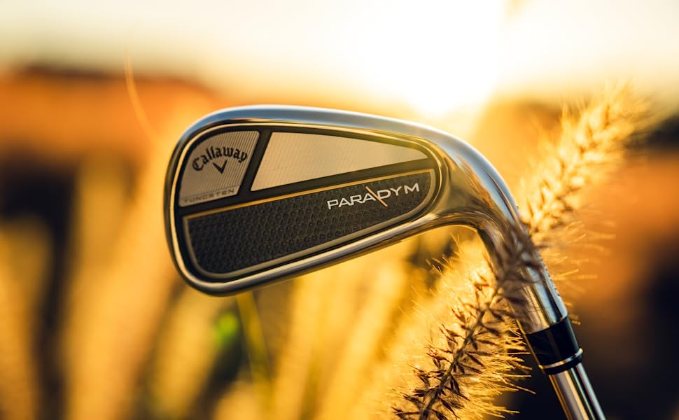 paradym irons