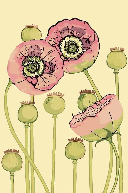 

Flora & Fauna – Paint By Numbers - 40*50CM, 501 Original