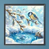 Diamond Painting - Full Round Drill - Birds(Canvas|30*30cm)