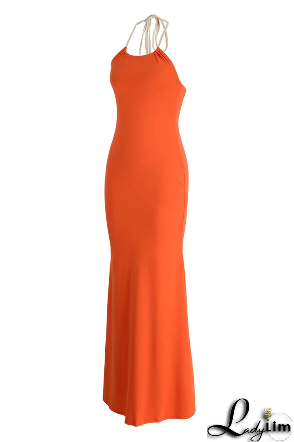 Black Fashion Sexy Solid Backless Halter Long Dress