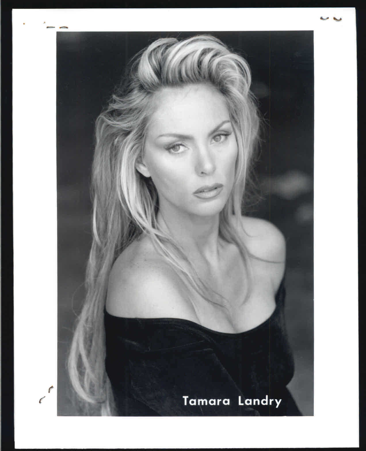 Tamara Landry - 8x10 Headshot Photo Poster painting w/ Resume - Playboy Erotic Fantasies