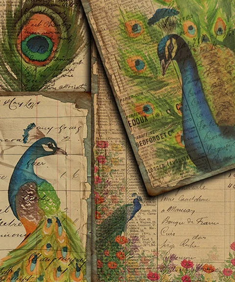 16 Sheets Exclusive Peacock Material Paper Set