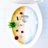 Powerful Stain Remover Toilet Bowl Cleaner