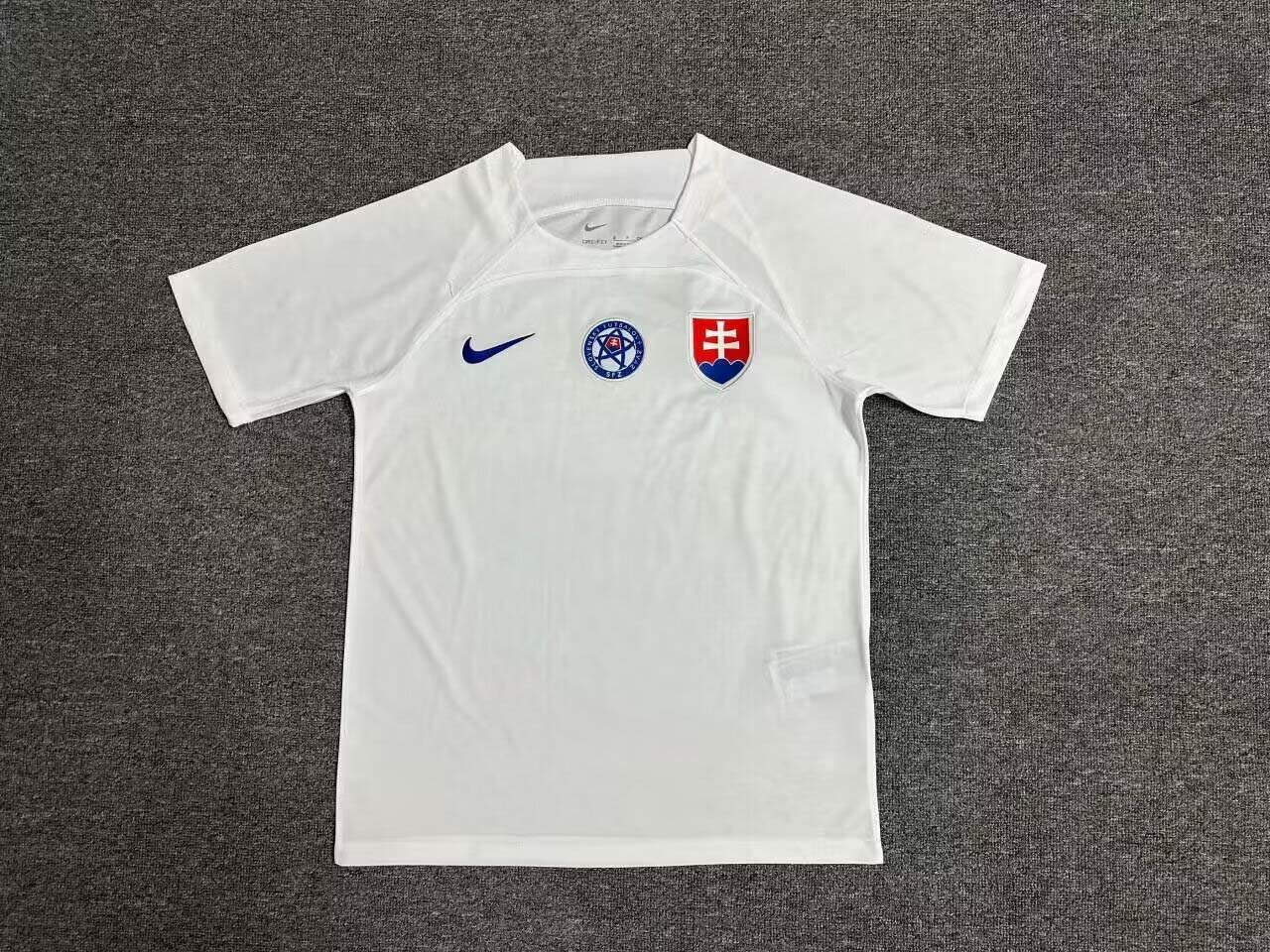 2024 Slovakia Away Football Shirt 1:1 Thai Quality