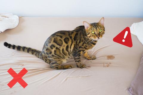 Pet Toilet Training Aid