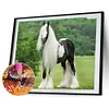 Diamond Painting -DIY Round Drill Long Haired Horse
