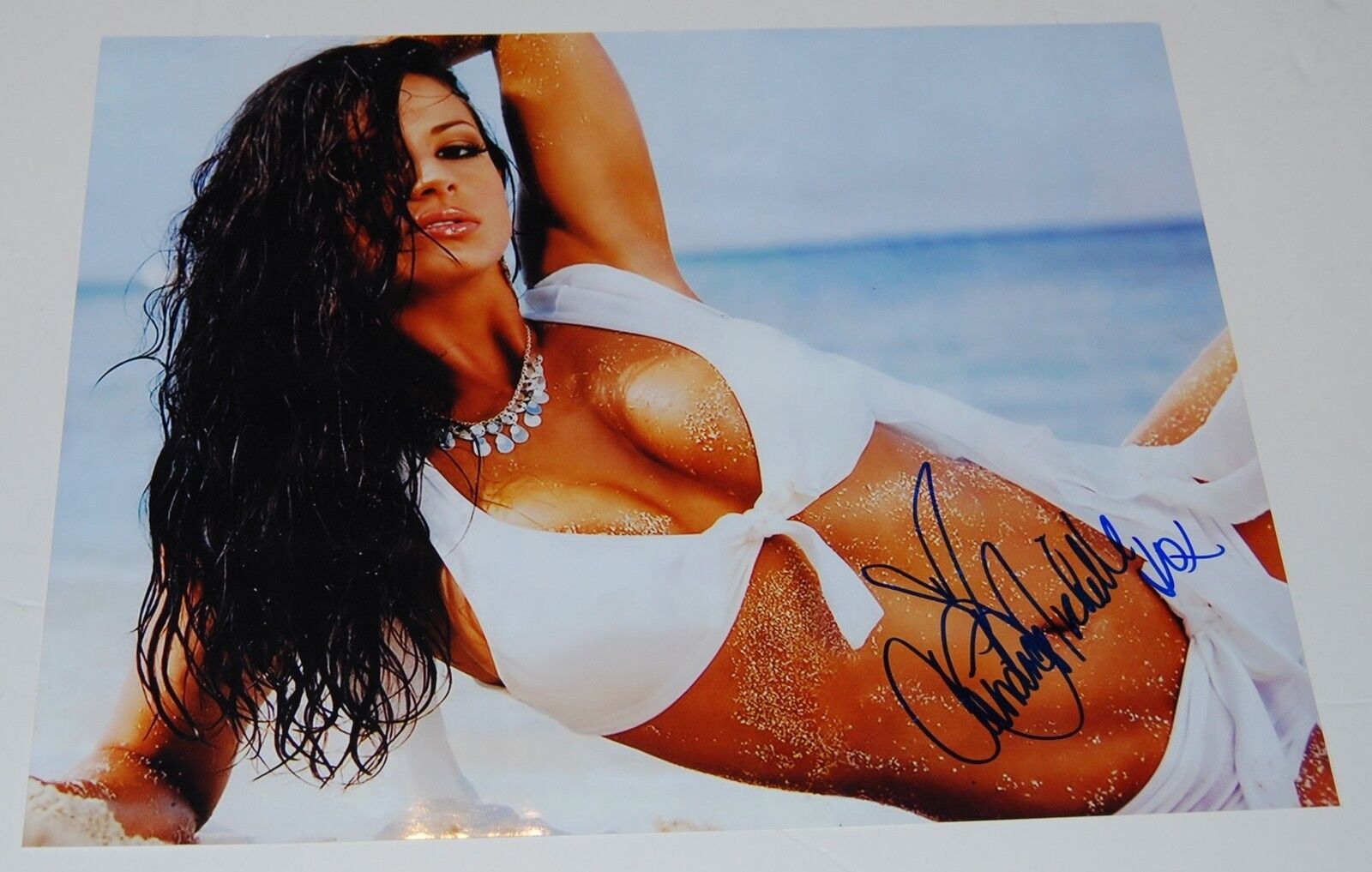 CANDICE MICHELLE signed (WRESTLING) WWE DIVA16X20 Photo Poster painting autographed W/COA
