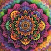 Mandala-Peinture spéciale partielle au diamant-30*30cm