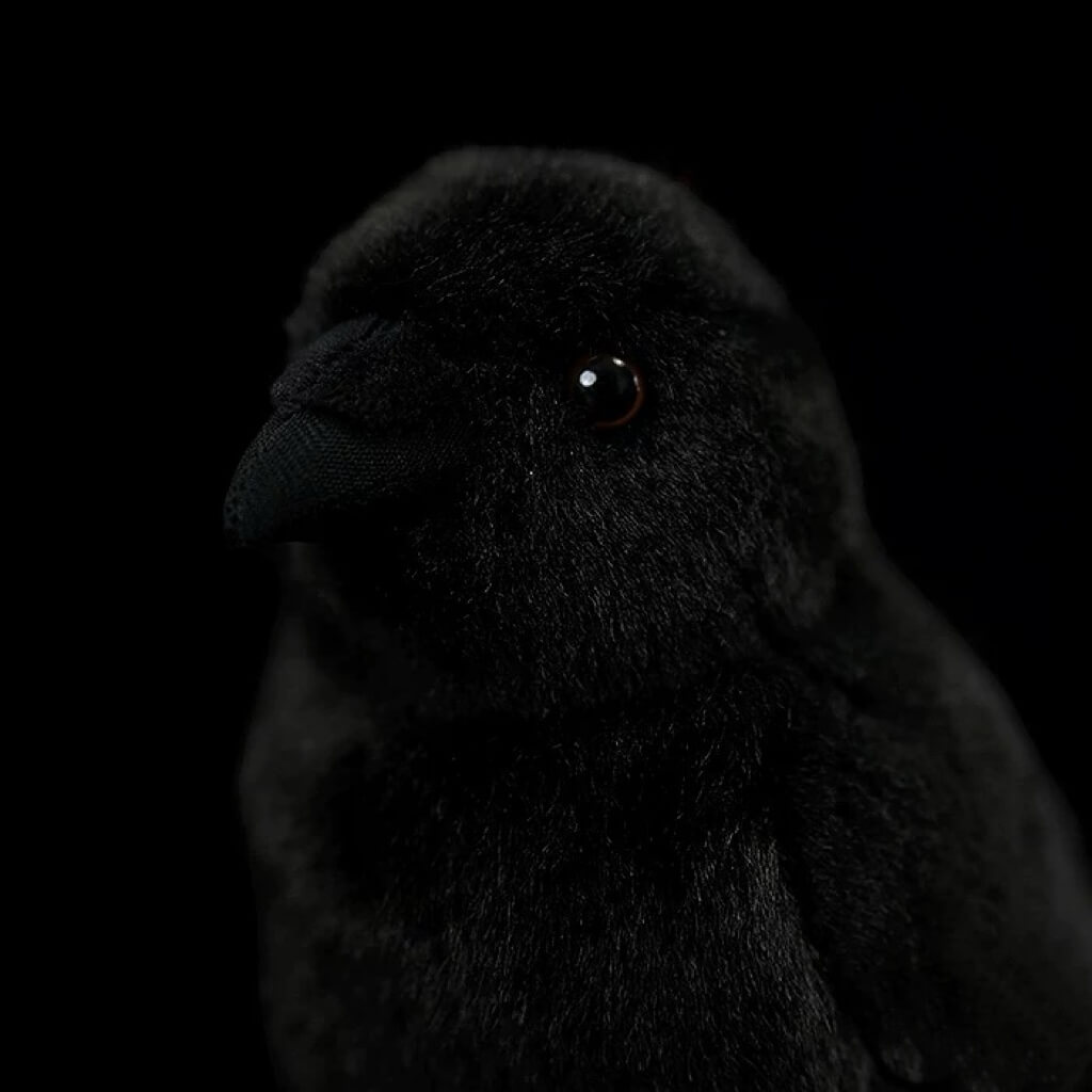 Cute Big Mouth Crow Plush Toy — Simulation Animal Doll