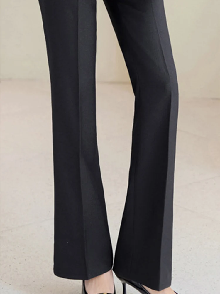 Jaydoz 2025 New All Season Office Ladies Formal Pant Suit for Women Jacket and Trouser Female Business Work Wear 2 Piece Blazer Set