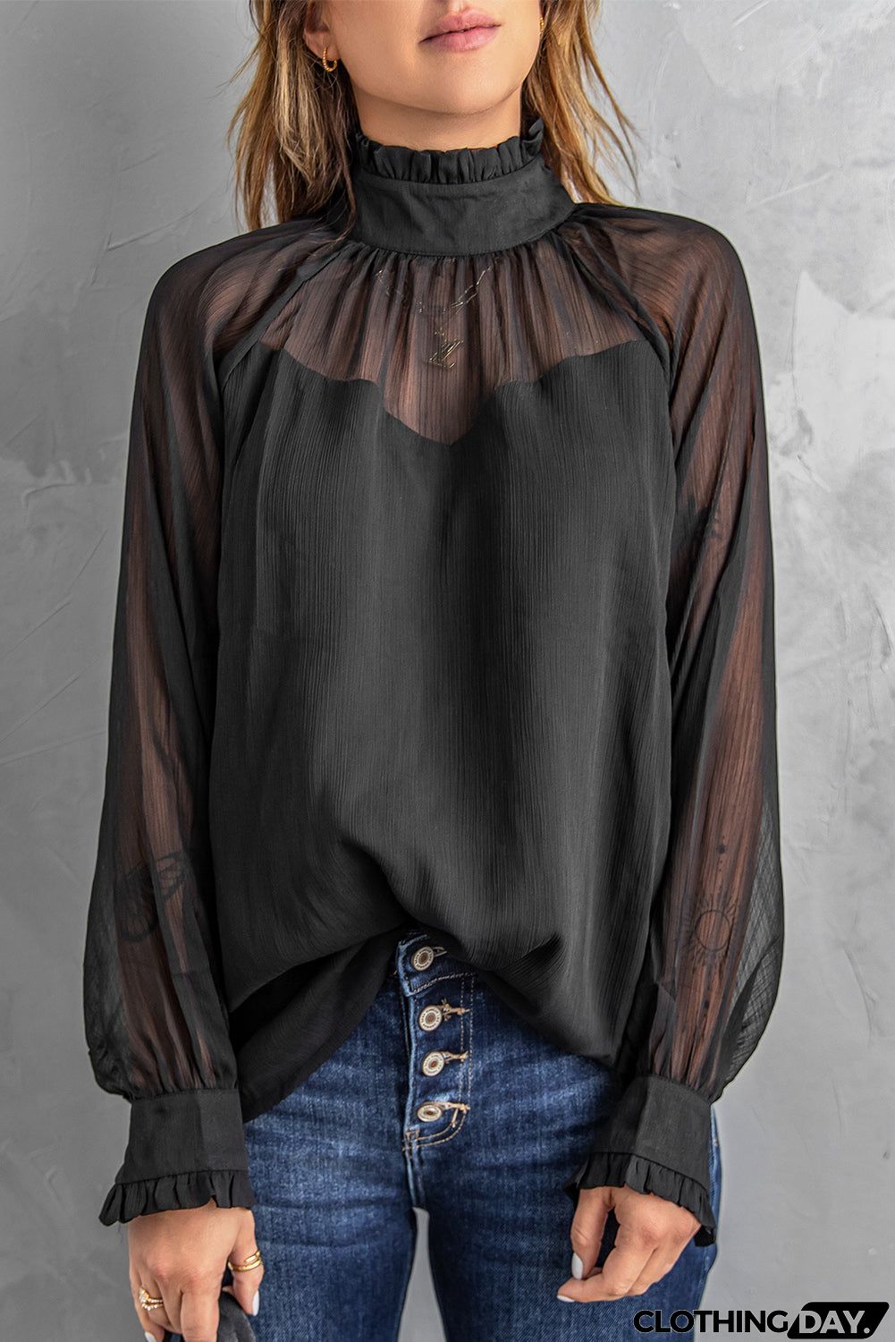 Sheer Ruffled Turtleneck Blouse