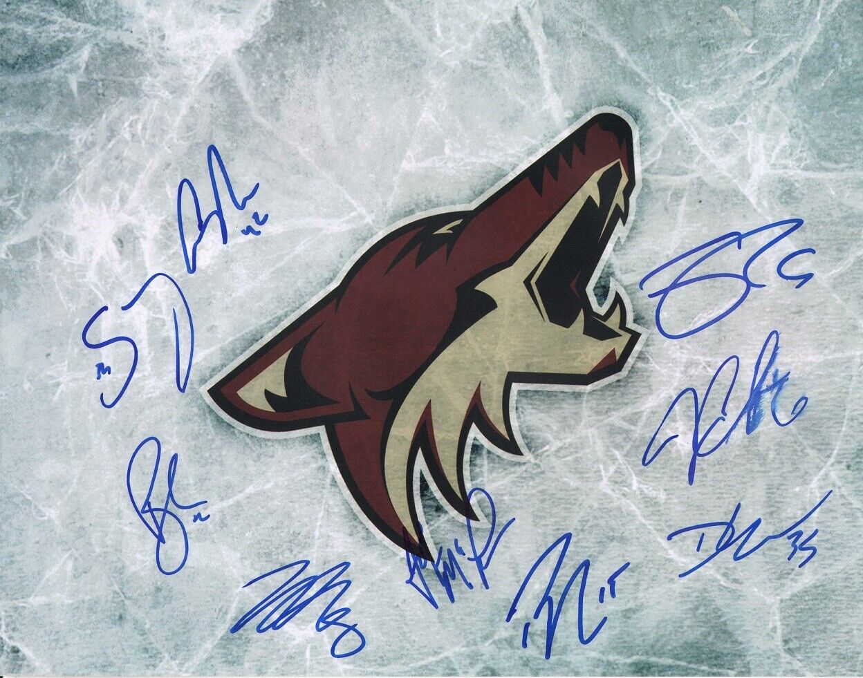 2019-20 ARIZONA COYOTES Authentic Team Signed x9 CONOR GARLAND