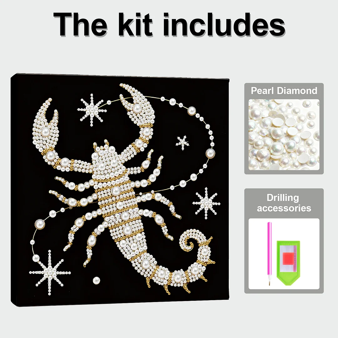 Scorpion DIY Pearl Art Diamond Painting Kit for Adult Home Decor 25x25cm With Frame