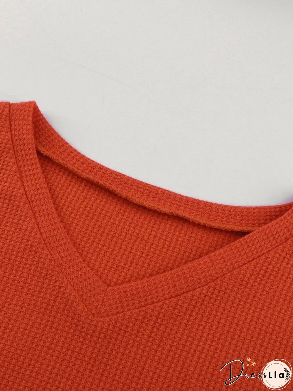 Leopard Stripe V Neck Lantern Sleeve Top with Colorblock Detail