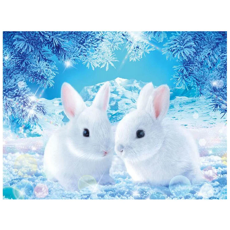 Rabbit - Partial Drill - Diamond Painting(30*40cm)