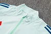 Joyfball 2024/2025 Spain Long Zipped Jacket Light Green Soccer Jersey 1:1 Thai Quality 
