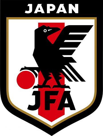 joyfball football jerseys|football shirts|cheap soccer jerseys