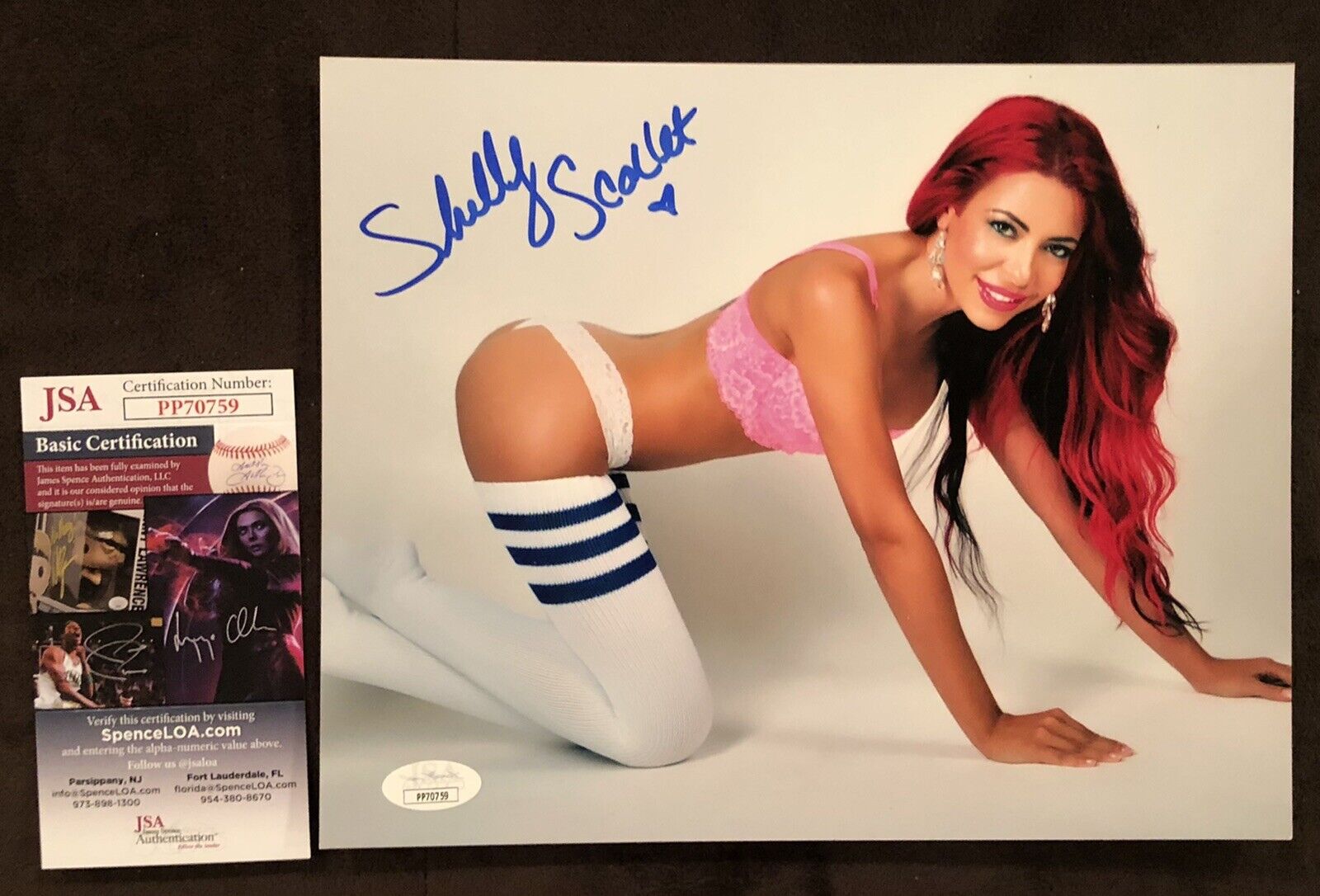 Shelly Scarlett Adult STAR SIGNED 8X10 Photo Poster painting Autograph Sexy Naughty Hustler JSA