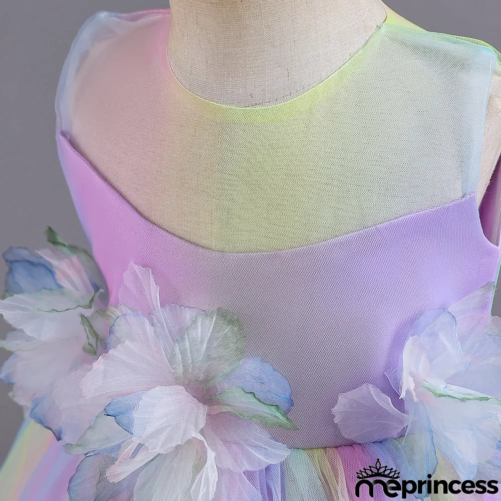 Infant and Toddler Dresses Floral Dress Multi-Color Mesh Pouf Princess Dress