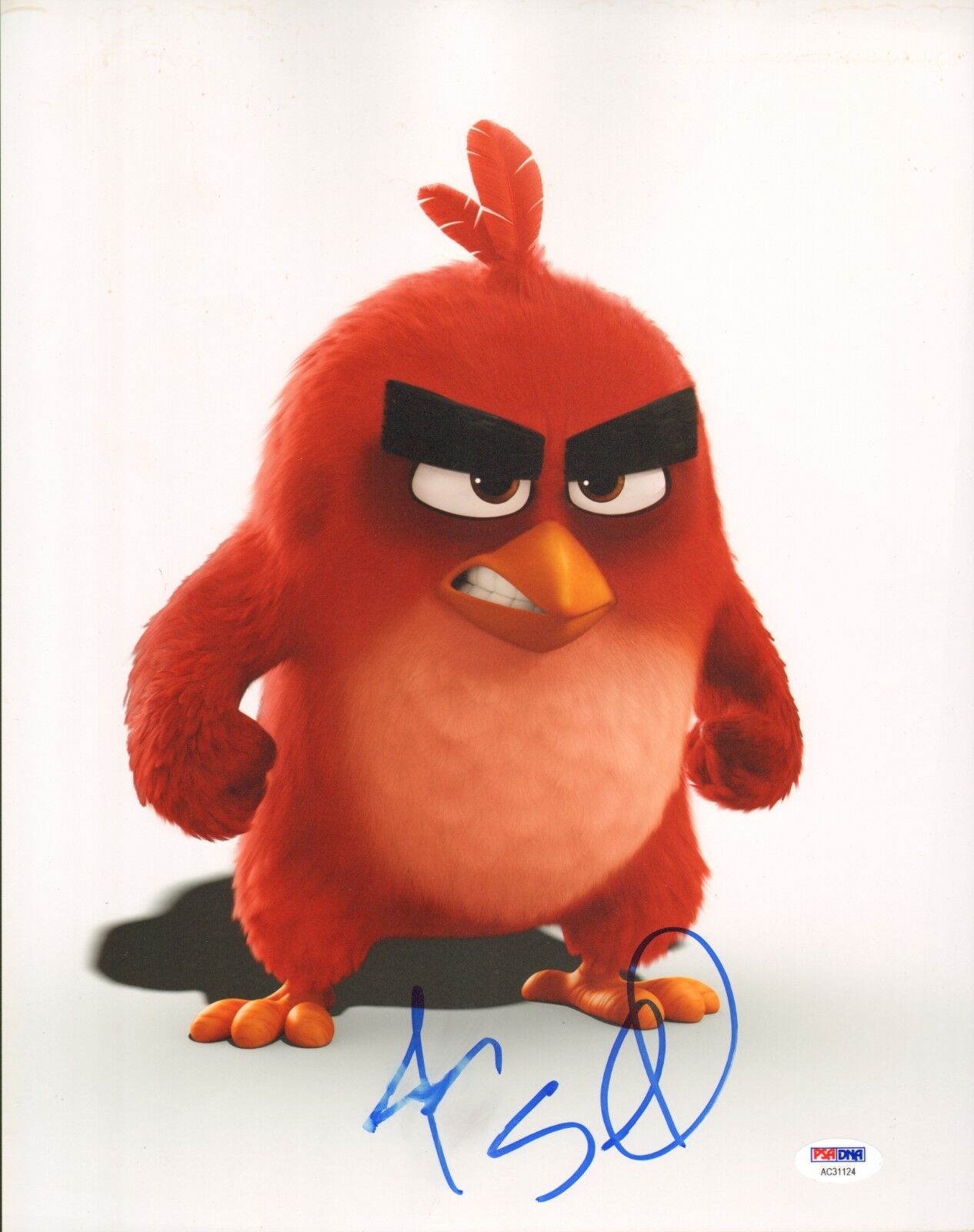 Jason Sudeikis Signed 11x14 Photo Poster painting PSA/DNA COA The Angry Birds Movie Picture Auto