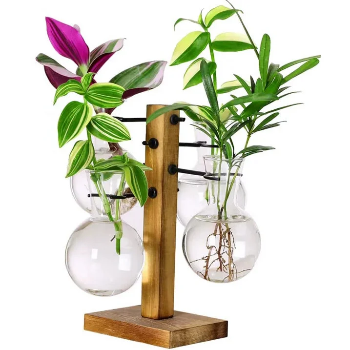 Plant Terrariums Kit Desktop Hydroponics Air Planter Holder with 4 Bulb Beaker Glass Vase and Solid Wood Stand for Home Office Decoration