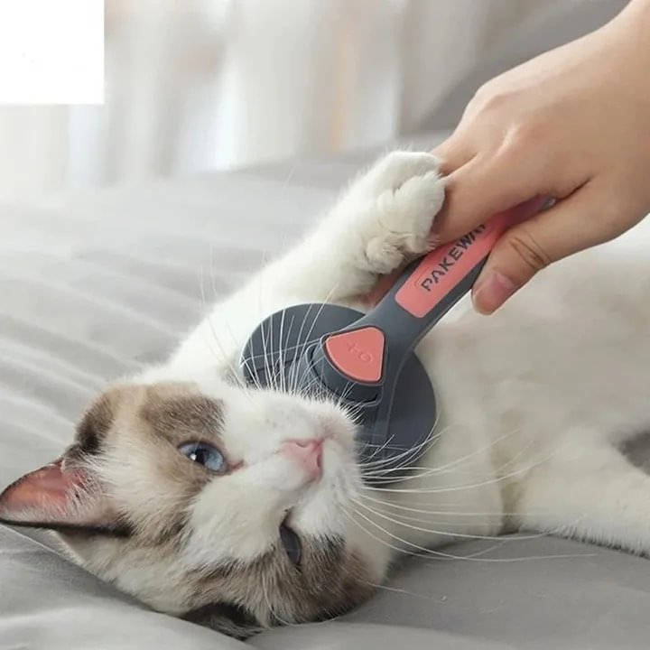 Self Cleaning Removes Hairs Cat And Dogs Brush Grooming Tool